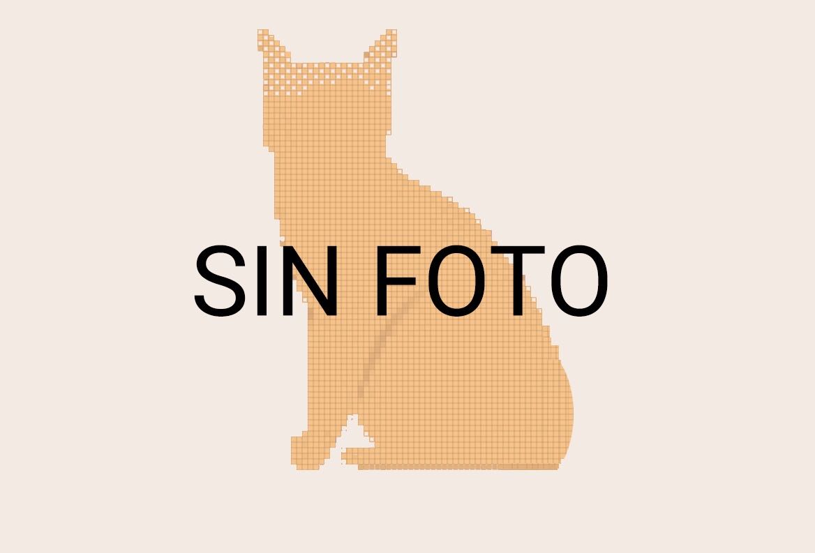 Por el momento, Aquiles no tiene foto disponible